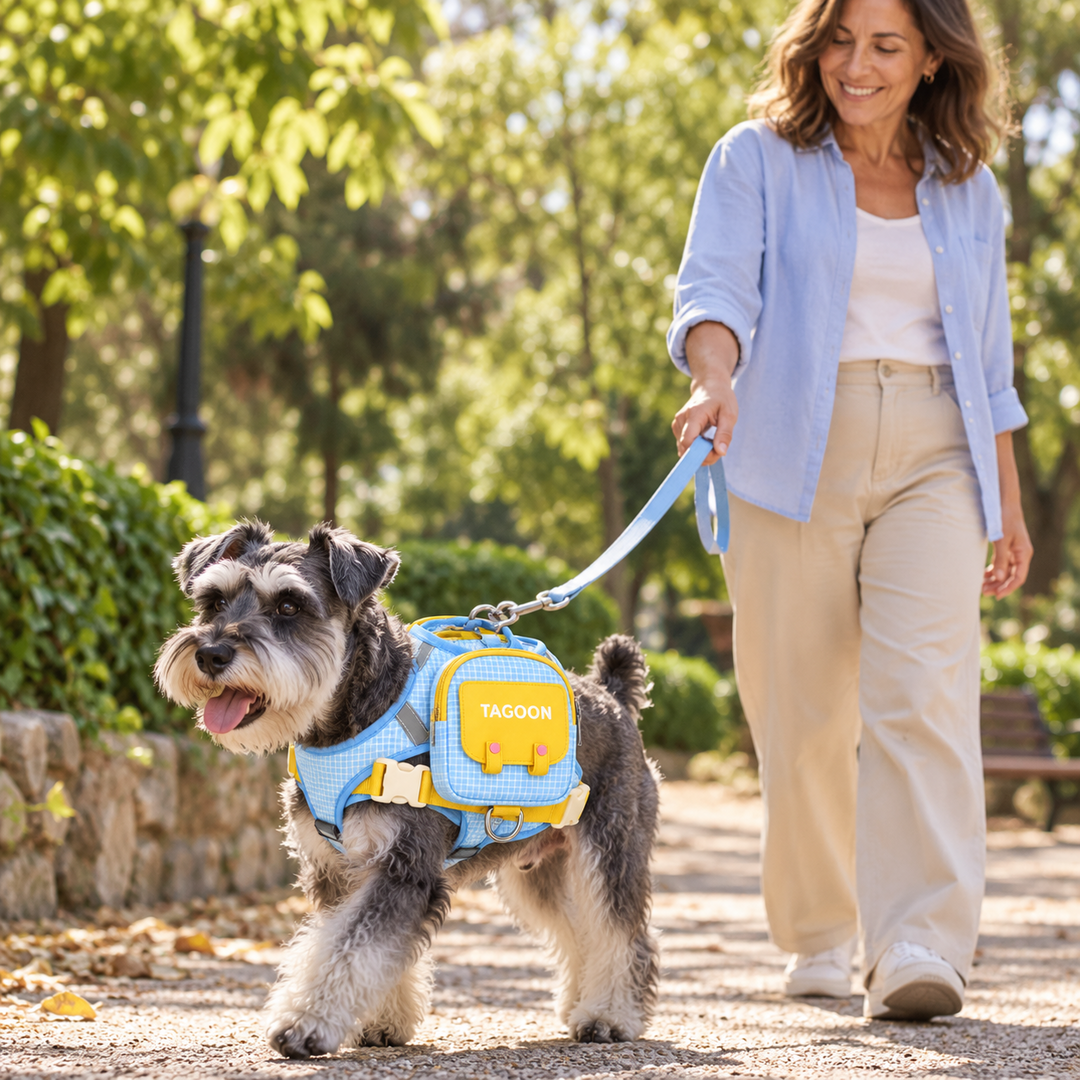 Paseando con el arnés con mochila azul y amarillo